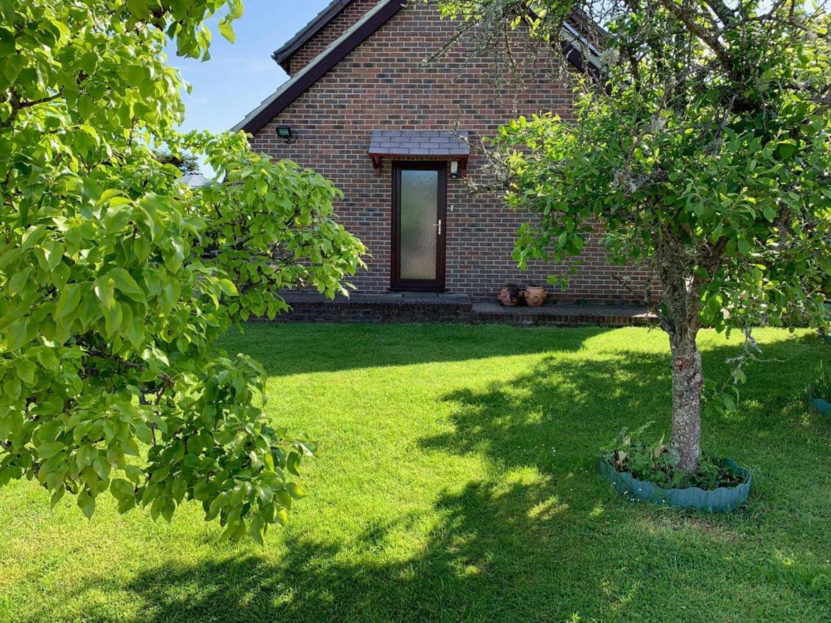New Forest Hideaway- Self Catering Accommodation Newbridge  Zewnętrze zdjęcie